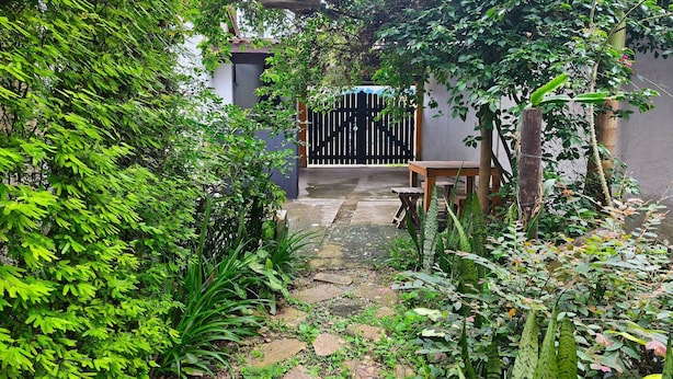 Ein Garten mit einem Holztisch und einer Bank, umgeben von üppigem Grün und einem Kiesweg.