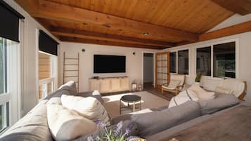 Televisión y chimenea