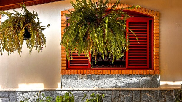 Fachada de edifício com moldura de janela vermelha, parede de pedra e diversos vasos de plantas.