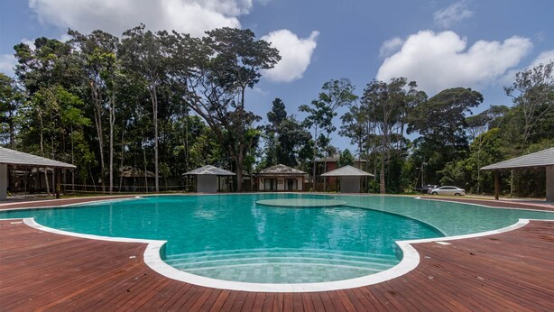 Una amplia piscina exterior con cubierta de madera, frente a un fondo de árboles altos y cielos despejados.