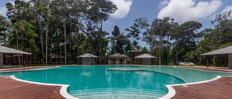 A large outdoor swimming pool with a wooden deck surrounding it, set against a backdrop of tall trees and clear skies.