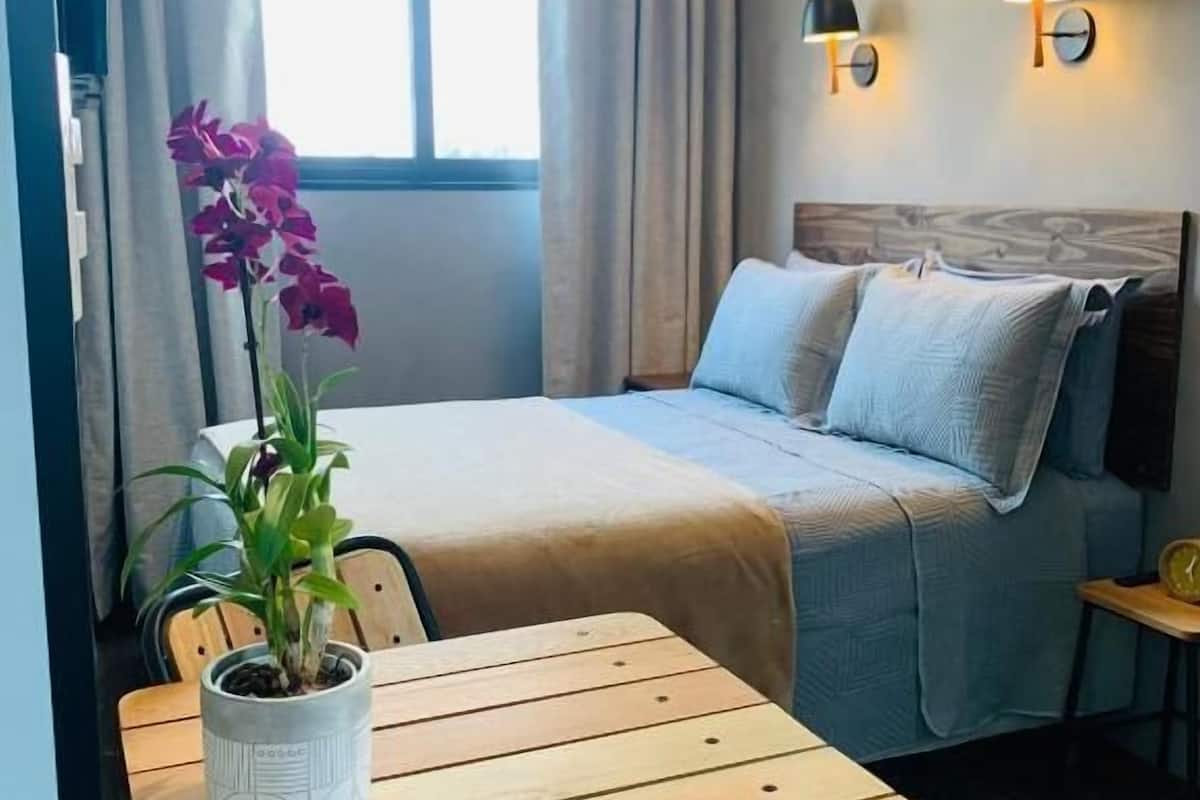 Habitación de hotel con cama, una mesa con una planta, una silla, equipo de aire acondicionado y una ventana con cortinas.