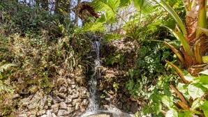 A natural waterfall cascading over a rocky ledge into a shallow pool, surrounded by lush greenery and tropical plants. - Casa com Piscina Sal o de Jogos e Churrasqueira (Mairipora)