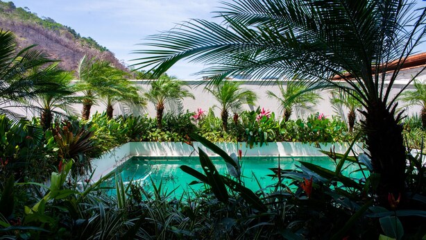 Una piscina circondata da piante tropicali rigogliose con montagne sullo sfondo.