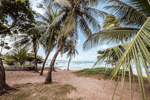 Una spiaggia con palme, una recinzione di legno e vista sull'oceano.