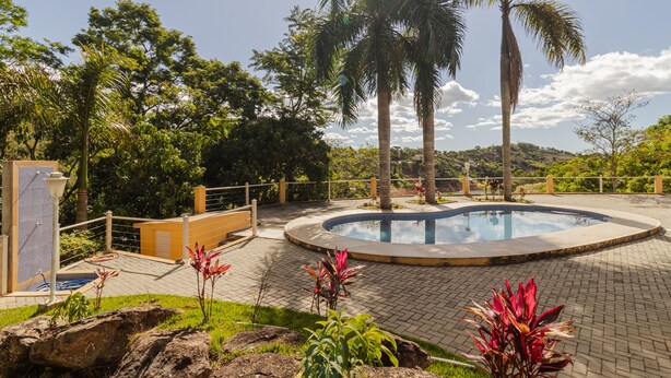 A swimming pool surrounded by palm trees and tropical plants, with a paved walkway and a fence.