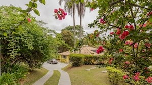 Un sendero que lleva a una casa rodeada de exuberante follaje y plantas en flor.