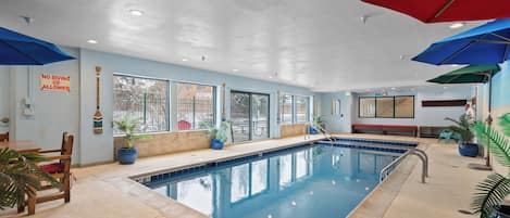 Una piscina interior con un letrero que dice 'NO DIVING ALLOWED', plantas en macetas y un banco.