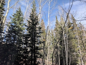 Miscellaneous - Modern Mountain Retreat • Sleeps 6 (Brian Head)