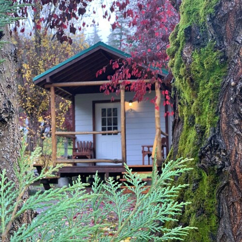 Umpqua National Forest Cabin #3 – Near Crater Lake & Umpqua Hot Springs