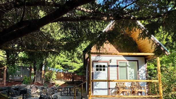 Une petite cabane en bois avec un porche, portant le numéro 15, entourée d’arbres et de gravier.