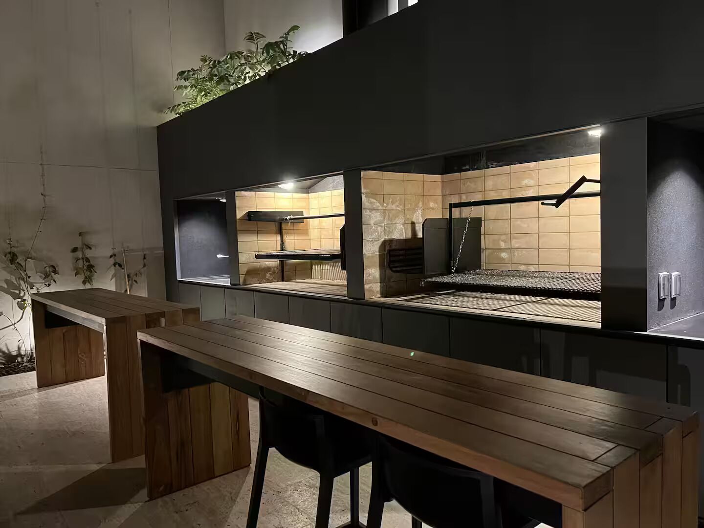 Eine moderne Küche mit Holzauszug, eingebautem Ofen und hängenden Pflanzen.