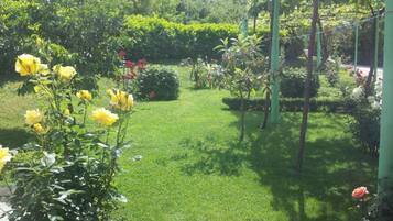 A lush garden with various plants and flowers, including yellow roses and red flowers.