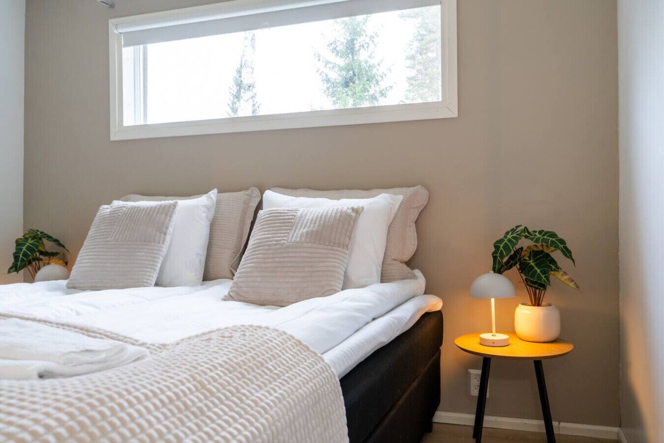 Internet, vuodevaatteet