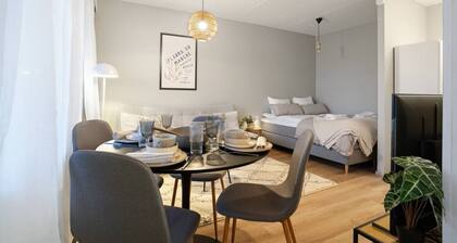 Arctic City Studio By Lapland Host