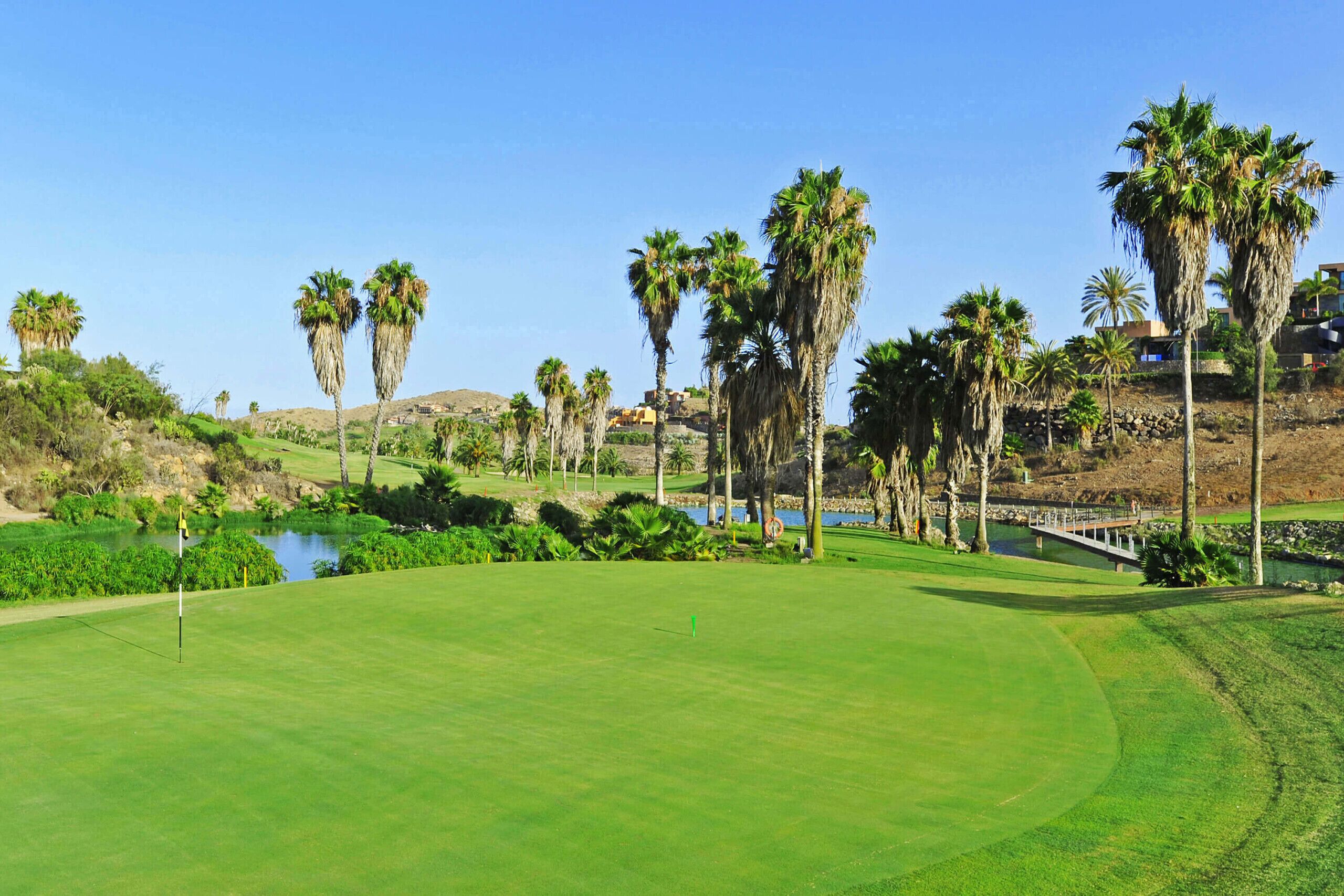 A golf course with a water body, palm trees, and a bridge.