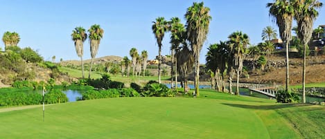 A golf course with a water body, palm trees, and a bridge.