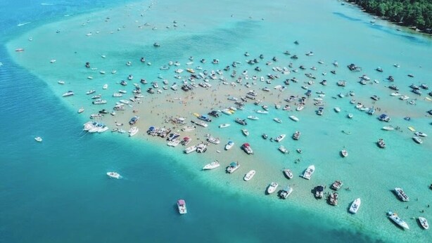 Vista aérea de una playa con numerosos barcos y un bosque denso al fondo.