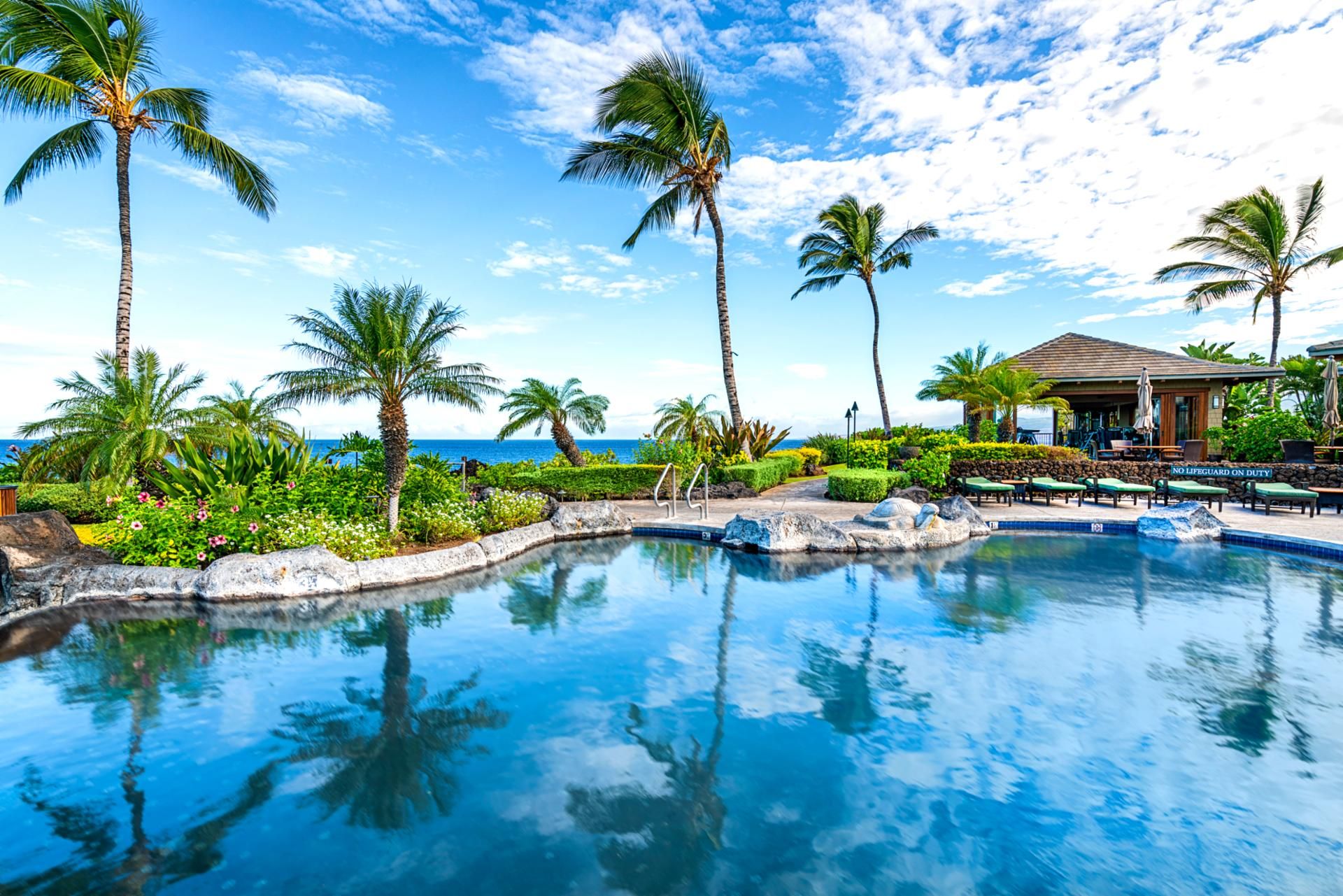 A resort pool with palm trees, a lounge area, and a view of the ocean.