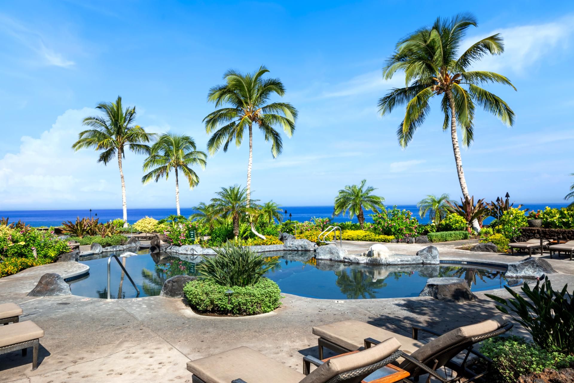 A resort pool area with palm trees, lounge chairs, and a view of the ocean.