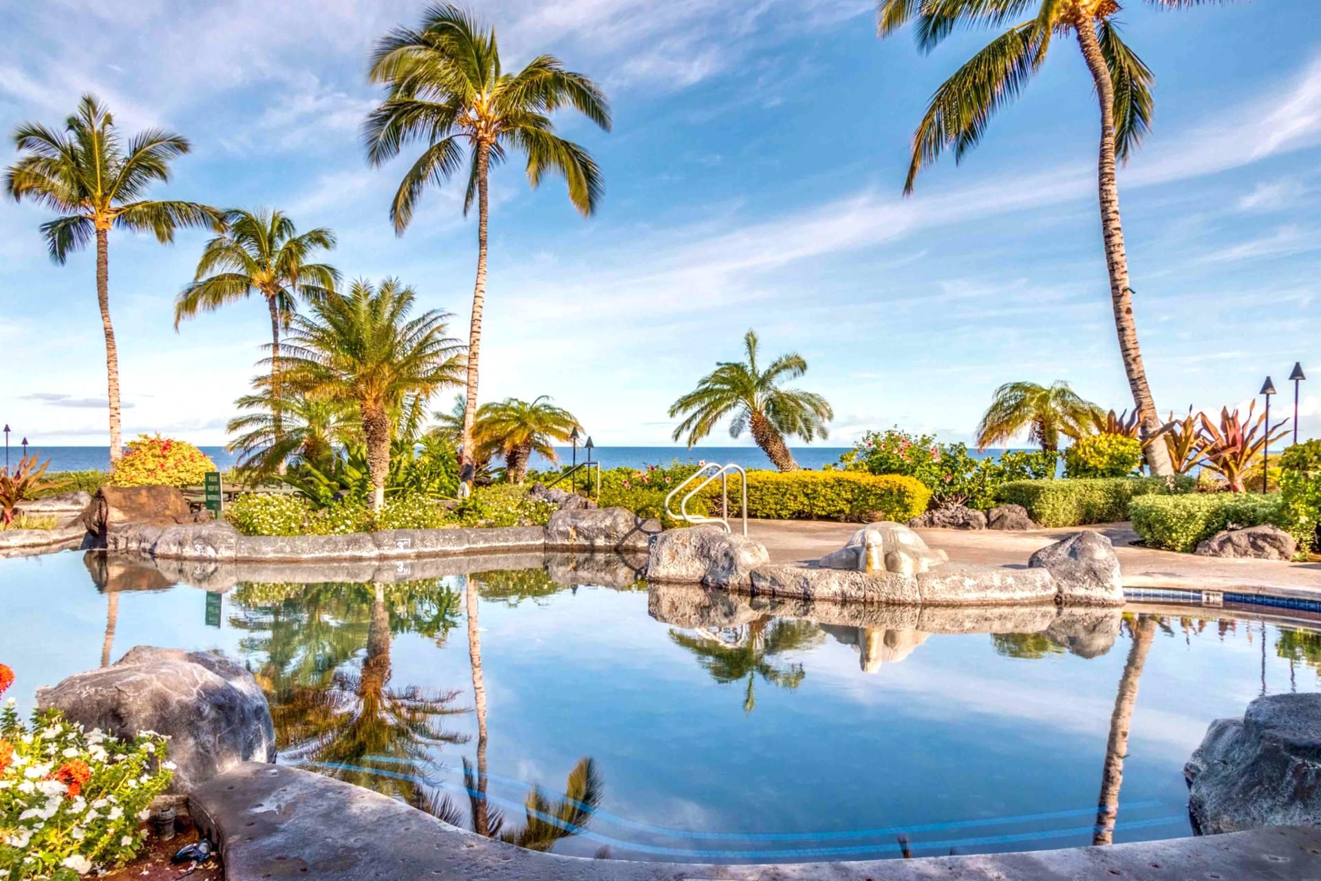 A pool with palm trees and a view of the ocean.