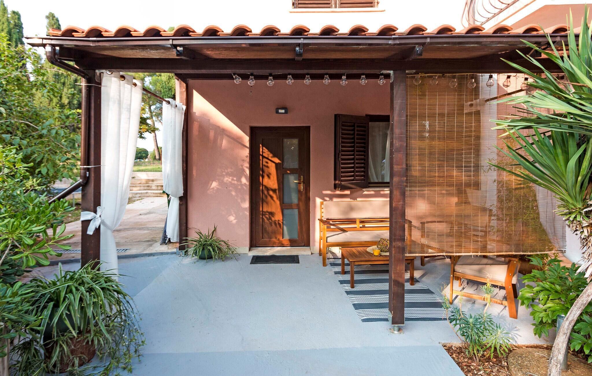 テラス / パティオ