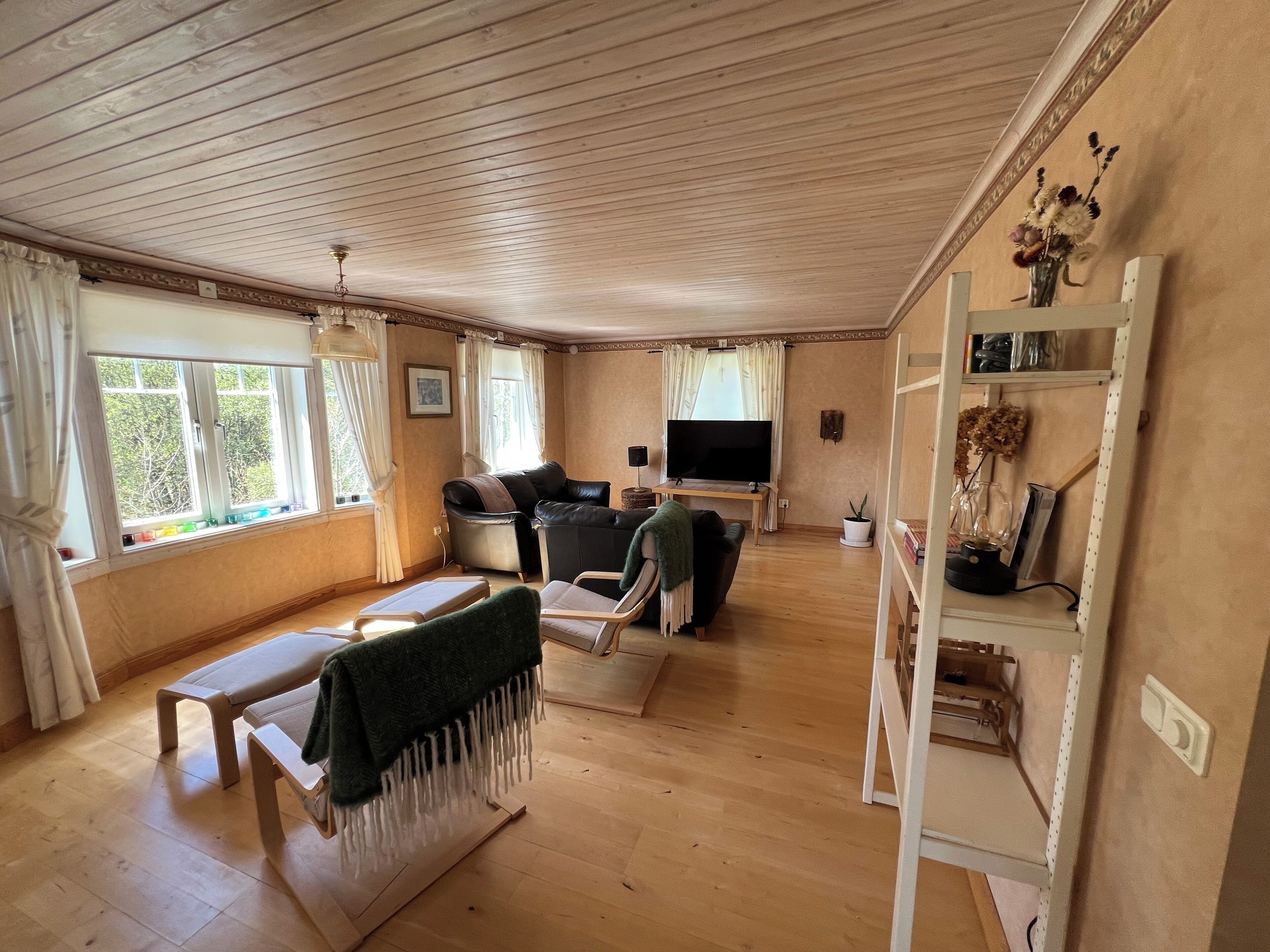 Smart TV, fireplace, books