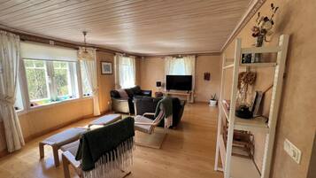 Smart TV, chimenea, libros