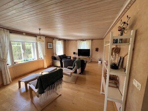 Smart TV, chimenea, libros