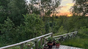 Puinen terassi, jossa on ruukuissa olevia kasveja ja kaide, jolta avautuu näkymä metsäiselle alueelle.