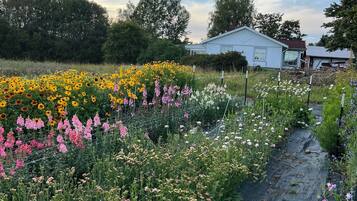 Áreas de la propiedad