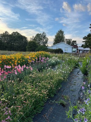 Áreas de la propiedad