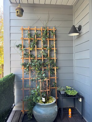 Property grounds - Heart of Northshore Townhouse (Chattanooga)