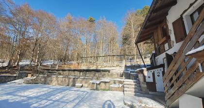 The House in the Woods Arch