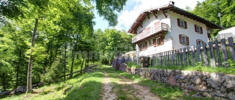 Une maison de campagne au cachet rustique, avec un mur en pierre et une clôture en bois, entourée d’une végétation luxuriante et bordée d’un chemin de gravier.