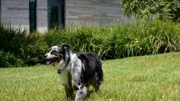 Área da propriedade