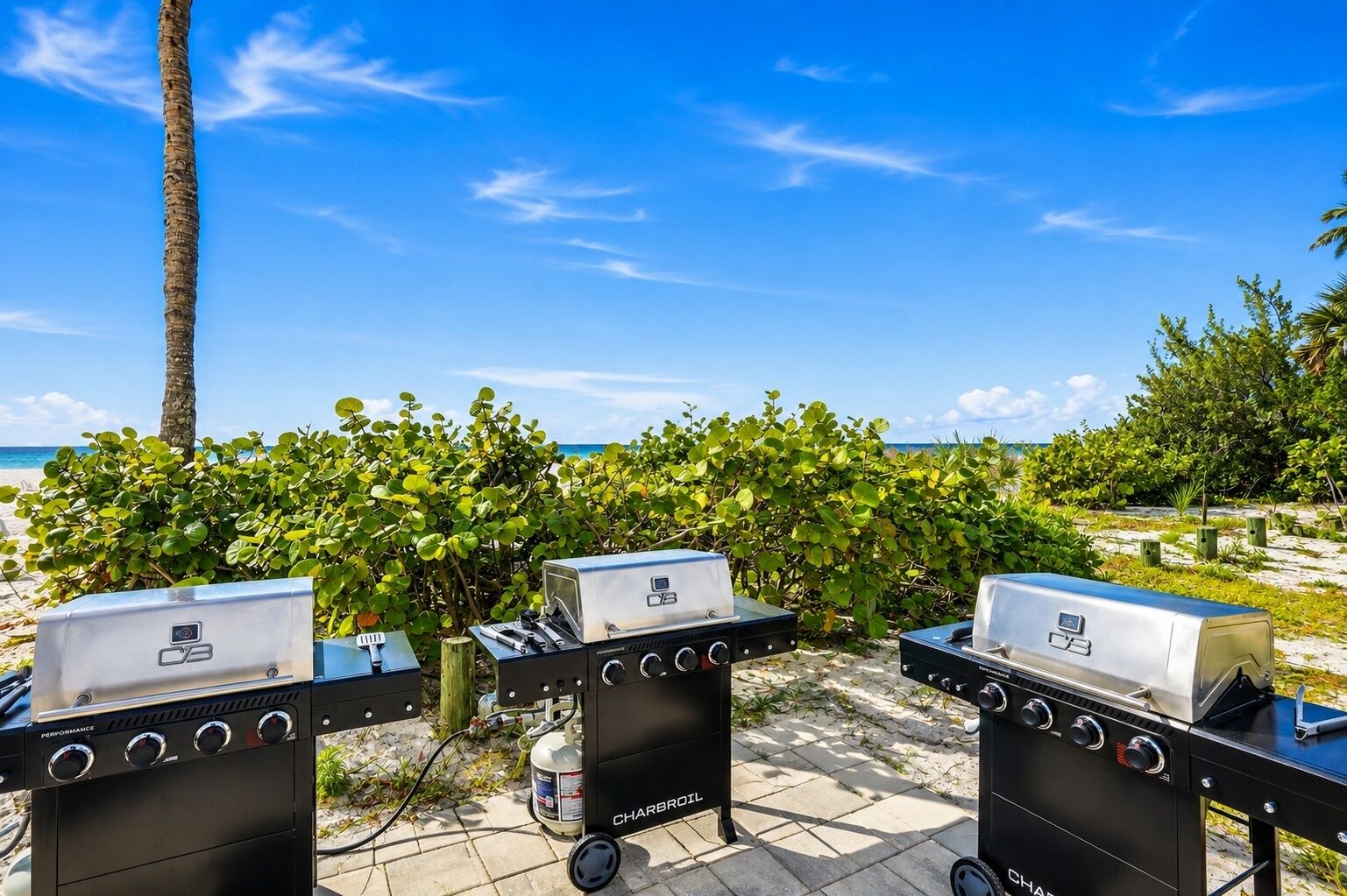 Trois barbecues extérieurs offrant une vue dégagée sur l’océan, avec un palmier en arrière-plan.