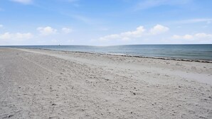 Beach - Windward Passage Resort (Fort Myers Beach)