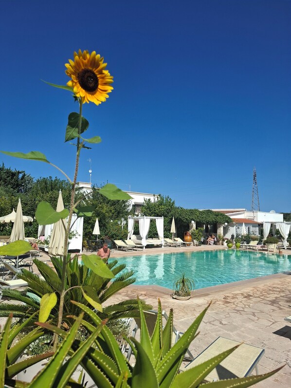 Un espace aménagé au bord de la piscine, avec des chaises longues, un grand tournesol et un ciel bleu dégagé.