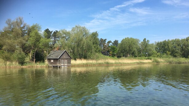 Une cabane en bois sur pilotis, située au milieu d’un lac paisible, entourée d’arbres.