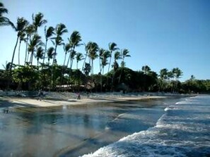 A beach with palm trees and a sandy shore. - Ocean View Sunrise Tamarindo Beach Condo (Tamarindo)