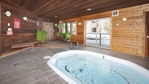 Ein Holzinnenraum mit Whirlpool, Bänken und Topfpflanzen.