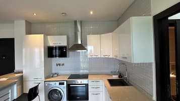 A modern kitchen with a built-in oven, a washing machine, and a sink.