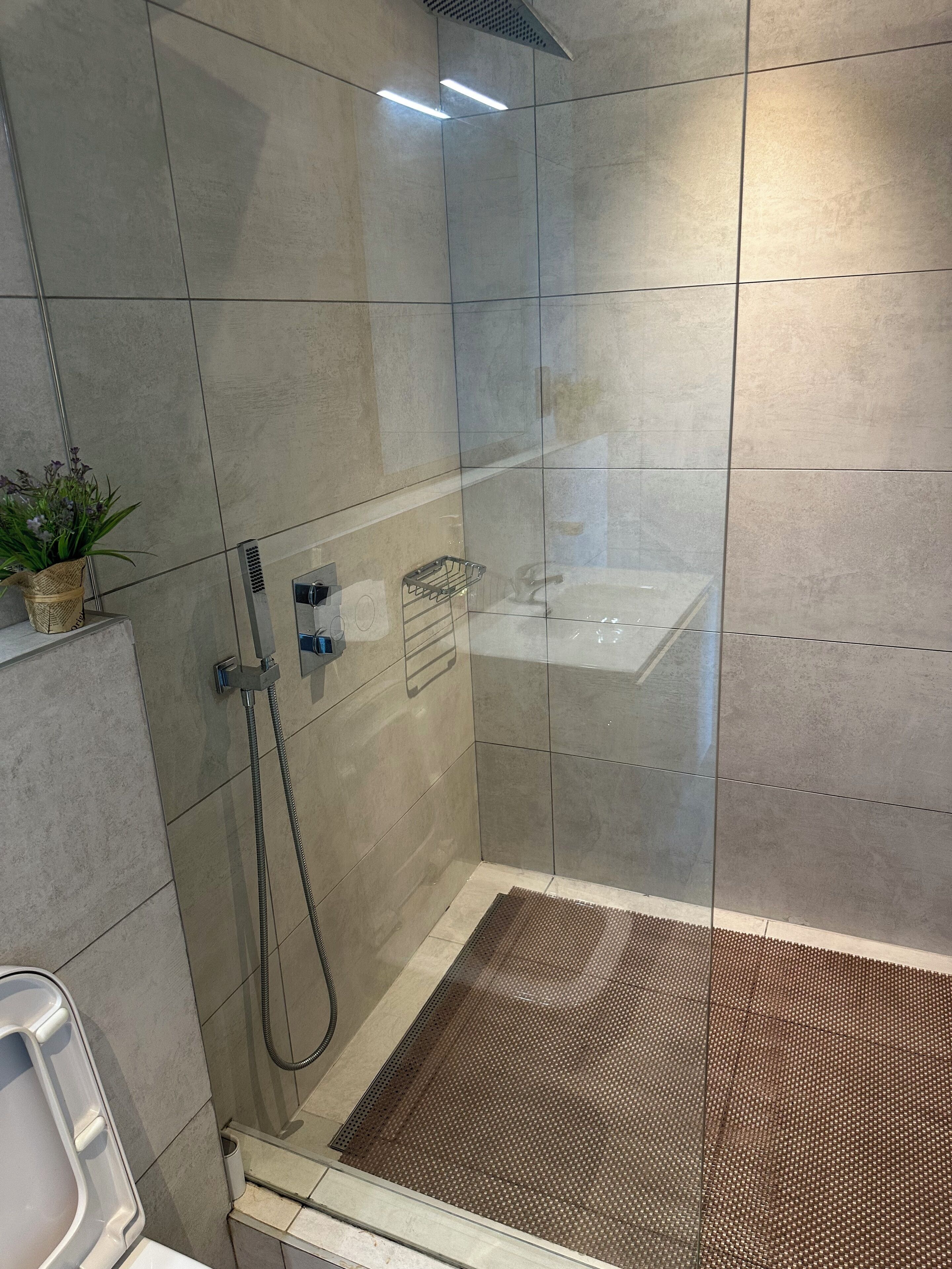 A modern shower area with a glass door, a handheld showerhead, and a small shelf with a plant.