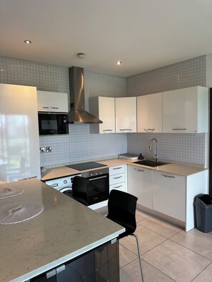 Luxury-Apartment, 2 Schlafzimmer, Haustiere gestattet, Stadtblick | Eigene Küche | Mini-Kühlschrank, Mikrowelle, Ofen, Herdplatte