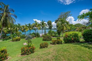 Property grounds - Flamingo Condo Min to Marina, Great Rates! (Playa Flamingo)