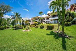 Exterior - Flamingo Condo Min to Marina, Great Rates! (Playa Flamingo)