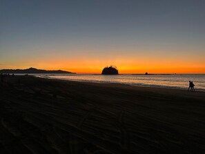 Beach nearby - Tranquil Beachside Getaway in Potrero (Potrero)