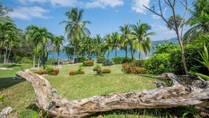 A tropical garden with palm trees, a log, and a view of the sea. - Cultural Charm and Ocean Views in Playa Flamingo (Playa Flamingo)