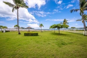 Property grounds - Beachfront Property w/ Spectacular View! (Potrero)